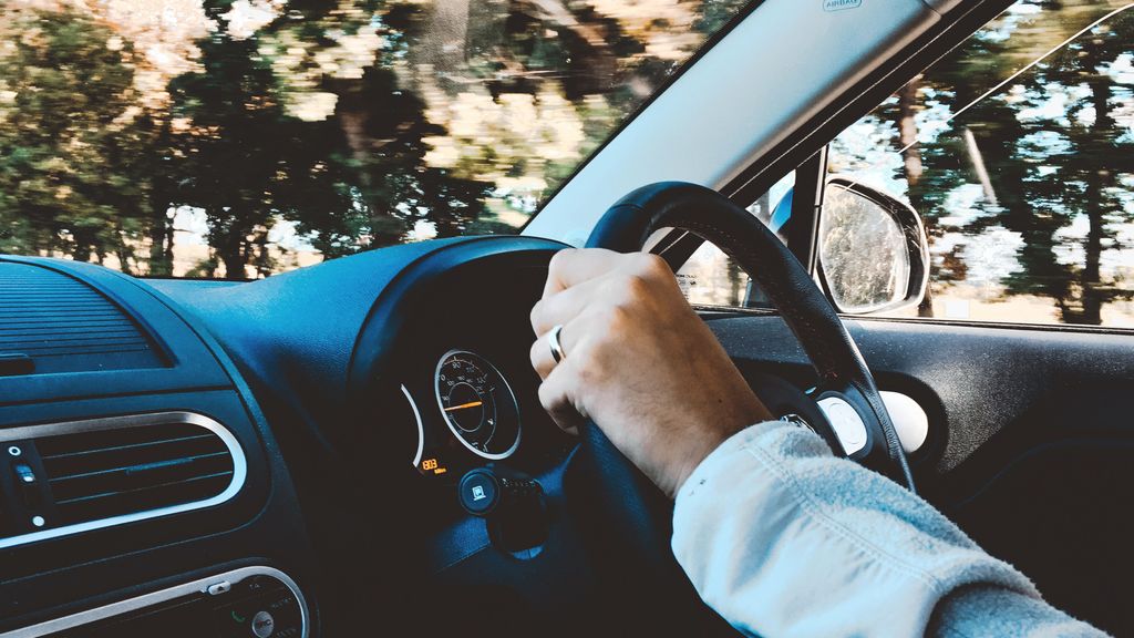 Cómo reaccionar ante un animal en la carretera según la DGT