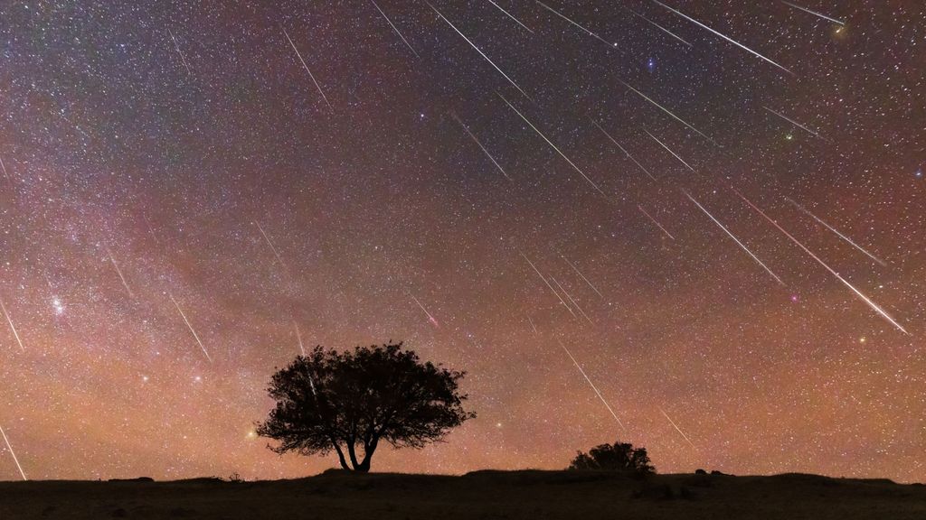 Cuándo ver la lluvia de estrellas Leónidas