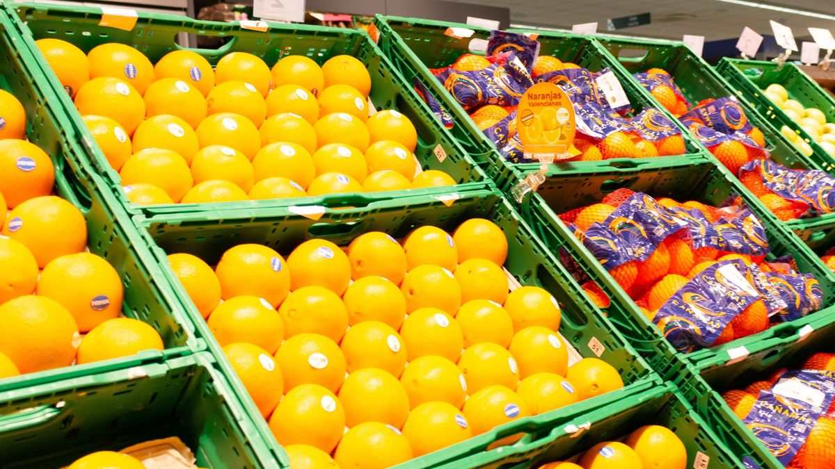 Cítricos en venta en un supermercado