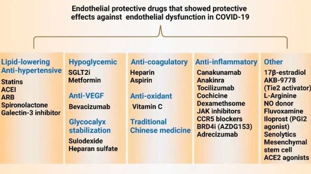 Fármacos para la disfunción endotelial en la covid