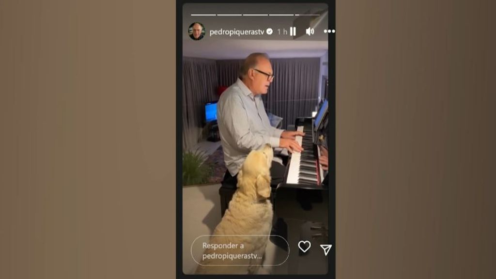 Pedro Piqueras, cantando y tocando el piano junto a su perra tras debutar en Instagram