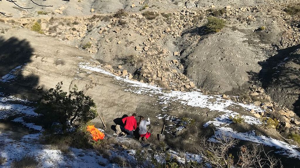 Descubren en el Pirineo fósiles de una tortuga de 3,7 metros