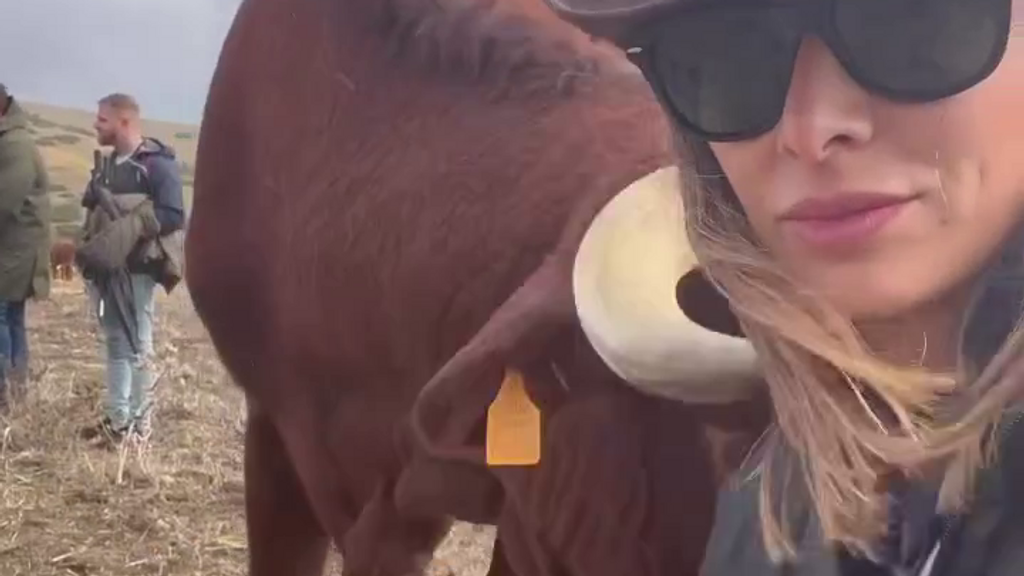 Irene Rosales es embestida por una vaca durante una excursión