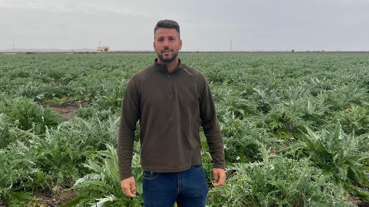 La sequía expulsa a los trabajadores del campo andaluz La sequía expulsa a los trabajadores del campo andaluz
