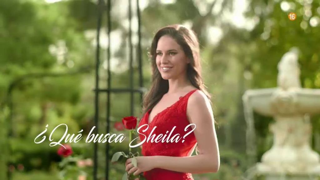 ¿Qué busca Sheila?