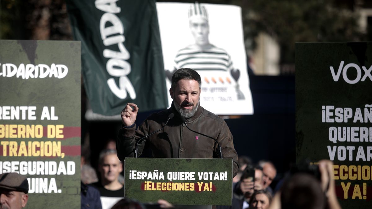 El líder de Vox, Santiago Abascal, interviene durante una manifestación convocada por la formación El líder de Vox, Santiago Abascal, interviene durante una manifestación convocada por la formación