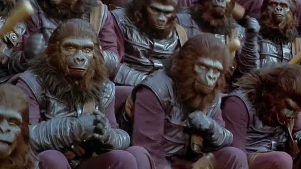 Los monos, protagonistas de las tardes de Be Mad: simioweek, esta semana a las 20:30 h.