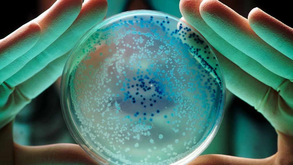 Cómo y por qué se genera la resistencia a los antibióticos: "Las bacterias panresistentes están invadiendo los hospitales"