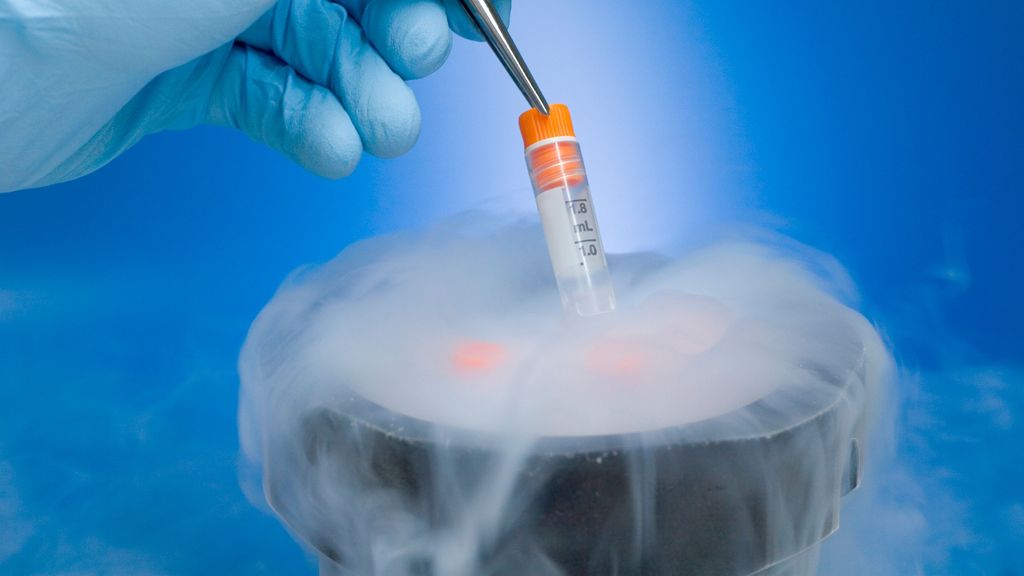 Cuánto pueden durar los embriones congelados