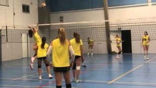 17971122430768696 320