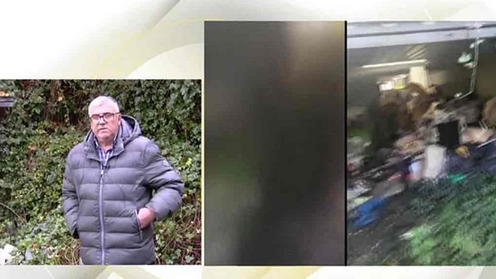 El llanto desconsolado de una mujer a la que los okupas han destrozado la casa: “No hay derecho”