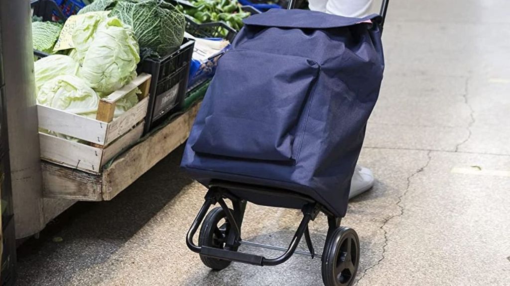 Los carritos de la compra para transportar todo tipo de alimentos y accesorios cómodamente