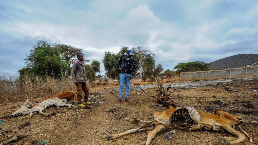 Sequías, olas de calor y frío, fenómenos extremos que ponen de manifiesto el cambio climático