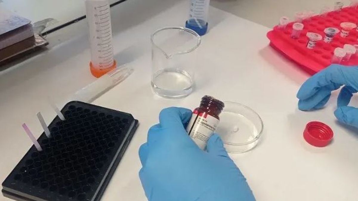 Crean un test que detecta rápidamente la presencia de burundanga y droga caníbal en muestras de saliva y en bebidas