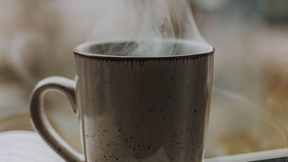 pexels lil artsy 3216564 pexels lil artsy 3216564