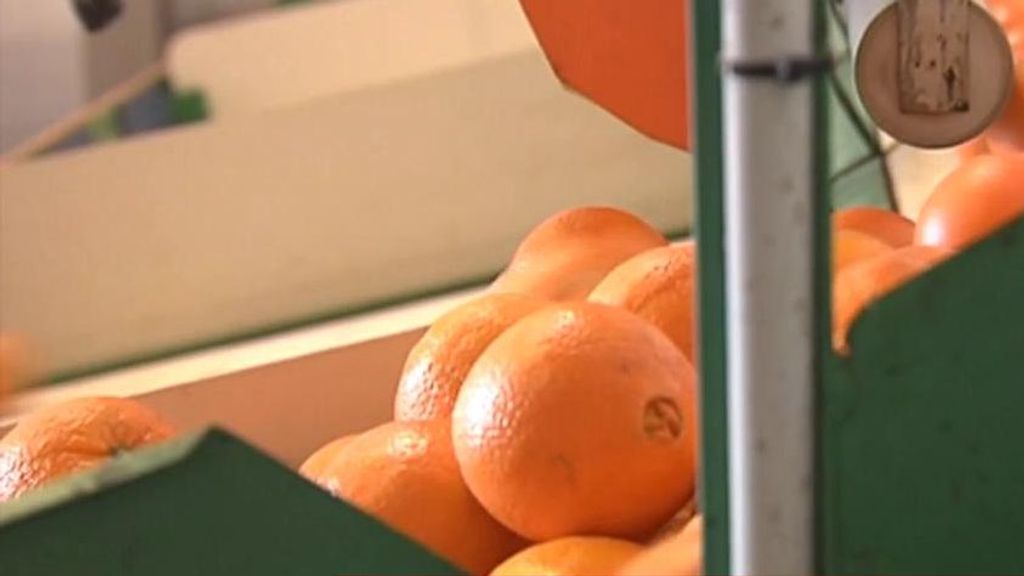 Alerta por comida contaminada: "La colaban en los supermercados a través de profesionales que los ayudaban"