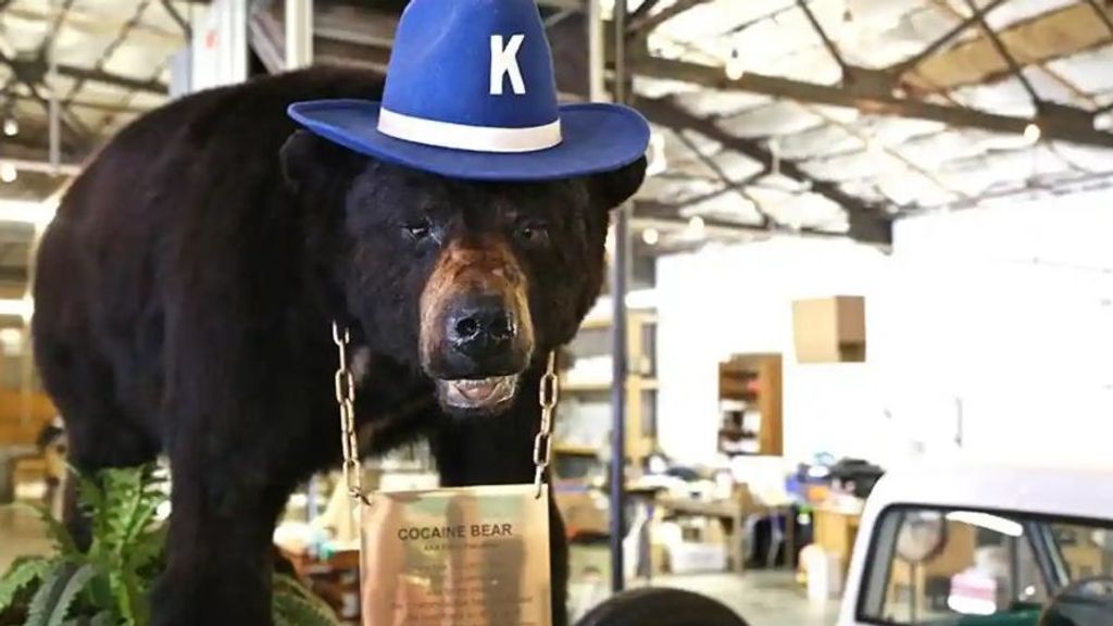 El oso real de Cocaine Bear
