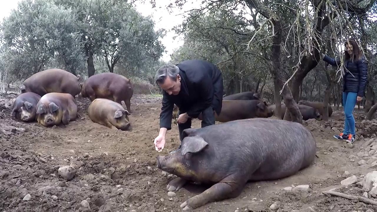 José Ribaborda en la Granja ecológica del cerdo de Duroc en el Valle de Ocón de La Rioja