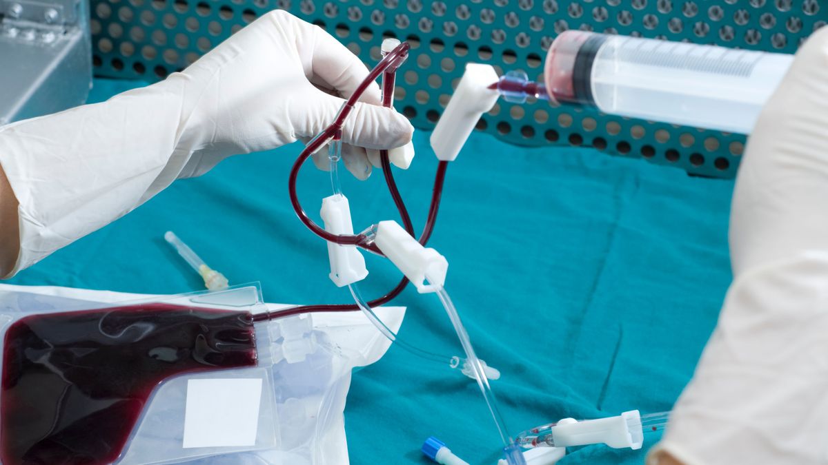 Un bebé necesita ser operado con transfusión y los padres exigen que solo sea con sangre sin vacunar en Nueva Zelanda