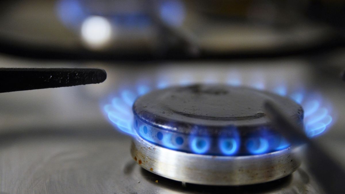 Cocina de gas Cocina de gas