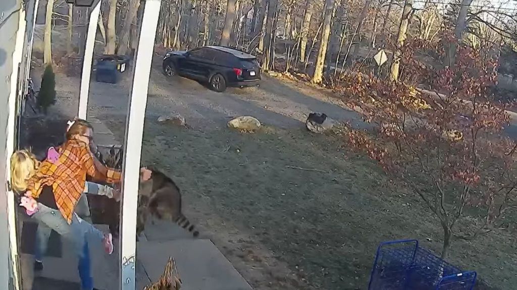 Madre e hija contra el mapache