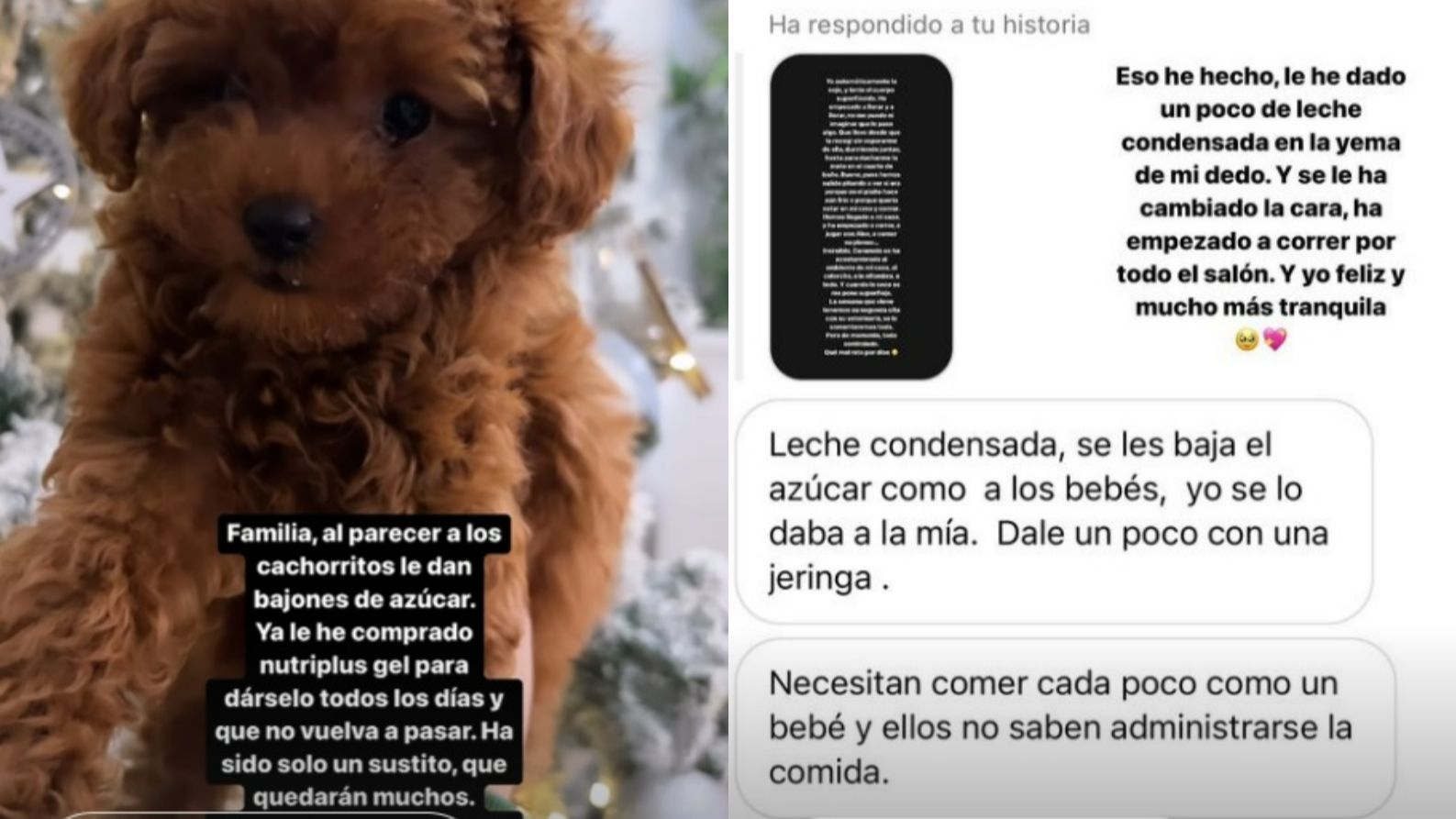 Caramelo sufrió un bajón de azúcar