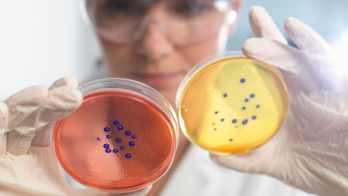 Un informe de la OMS alerta del "elevado" aumento de las resistencias a los antibióticos en todo el mundo