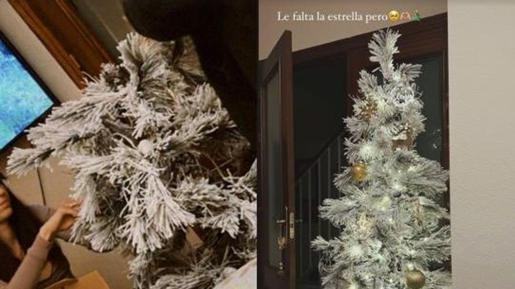 El árbol de Elena Huelva