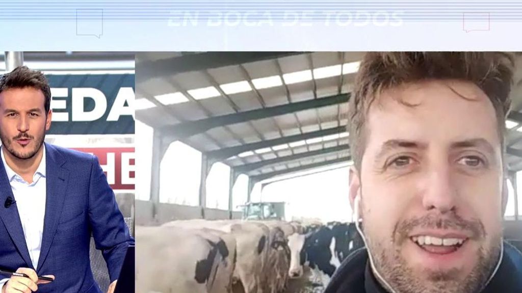 España se queda sin leche: "Va a empezar a faltar muy pronto"