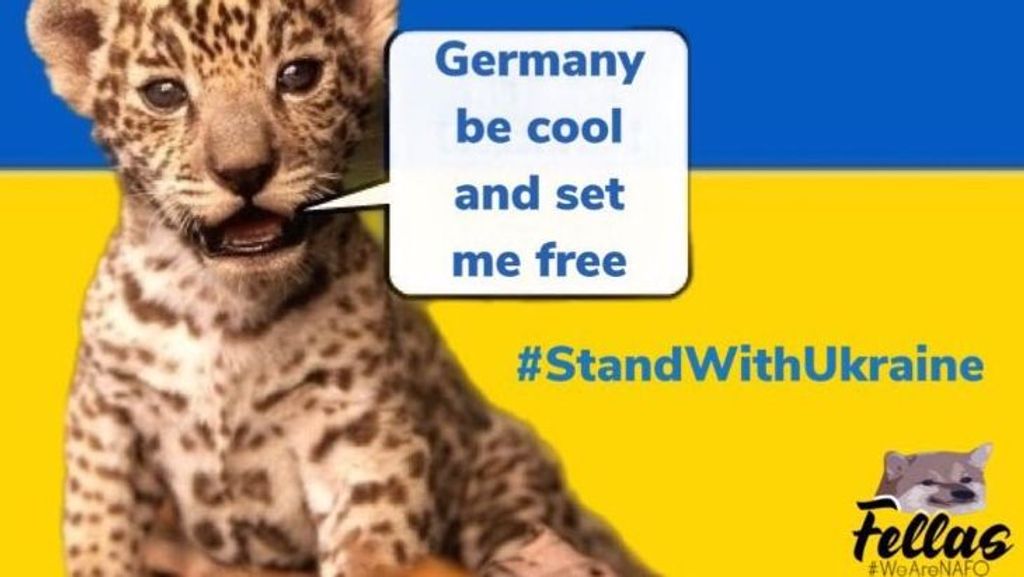 Imagen que circula en Internet con la idea de "Liberar a los leopardos alemanes"