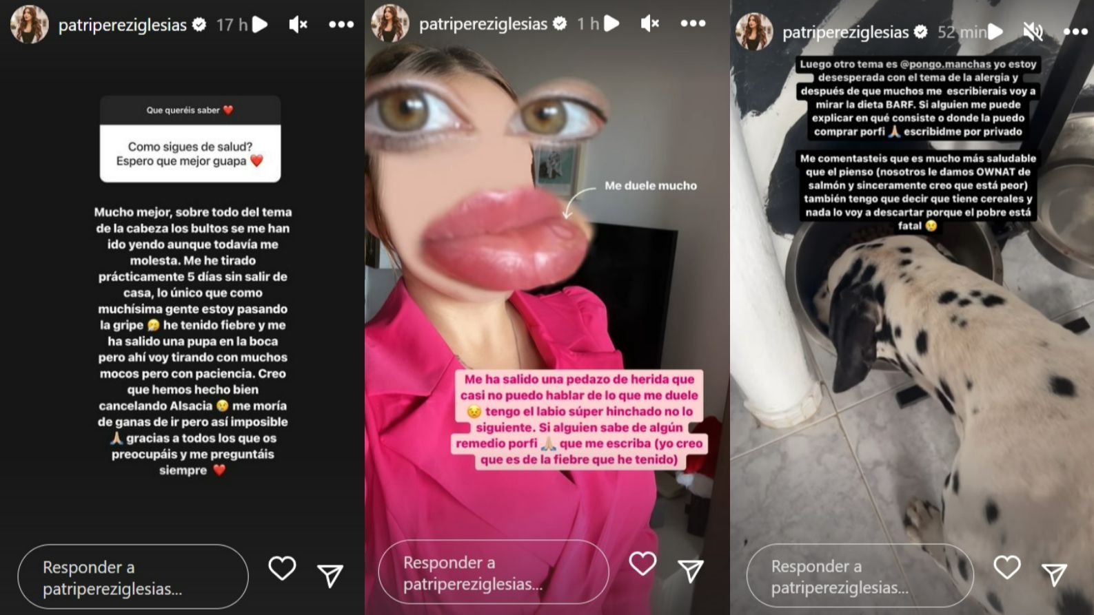 Patri Pérez explica cómo se encuentra y aclara cómo está su dálmata