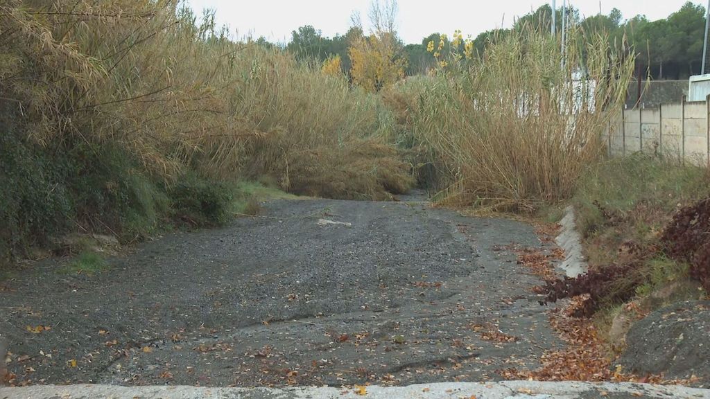 Hallan un cadáver partido en dos en una zona rural de Piera, Barcelona