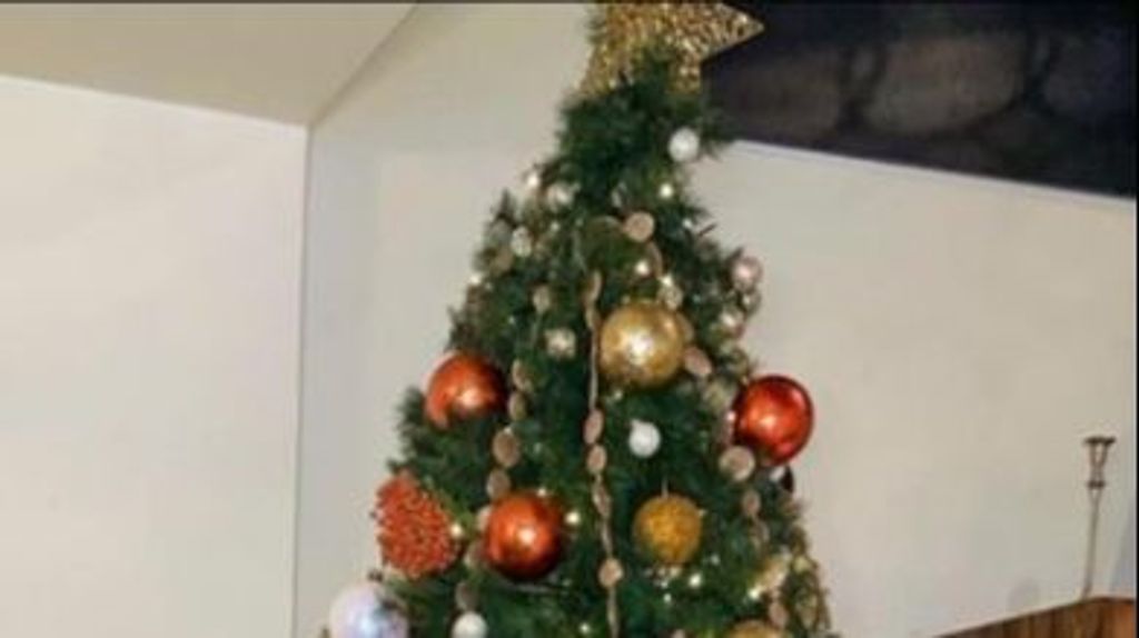 Anita Matamoros monta el árbol de Navidad más luminoso