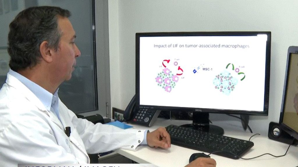 Un fármaco en pruebas español da resultados esperanzadores en pacientes con cáncer avanzado