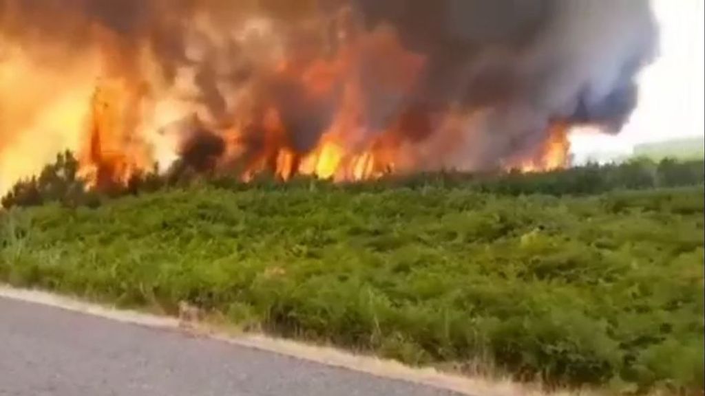 Detenido por provocar hasta 19 incendios forestales durante dos años en Cáceres