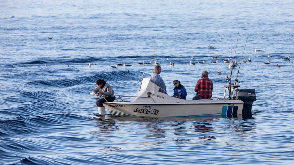 Un barco pesquero en Cape Town, Sudáfrica