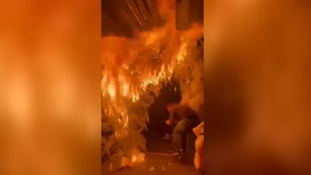 Un incendio casi acaba en tragedia en un restaurante de Londres: uno de los árboles de navidad se prendió