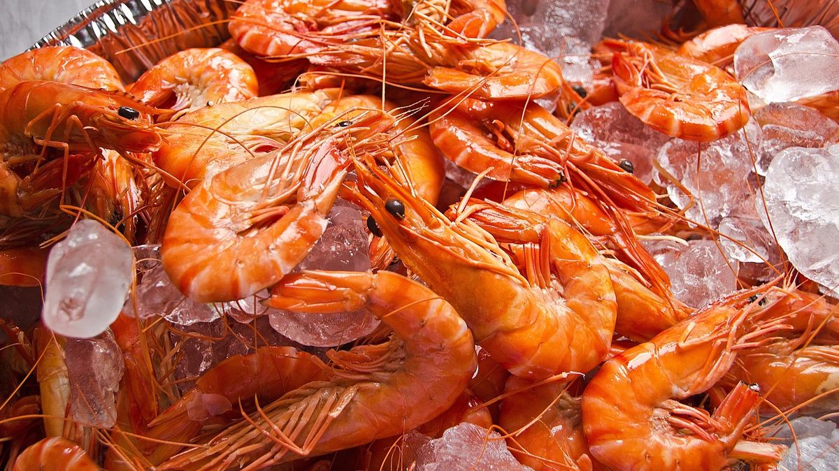 prawns ga7f1031f8 1920