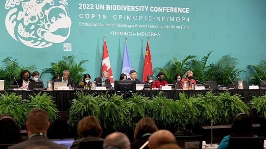 A landmark agreement to halt biodiversity loss by 2030