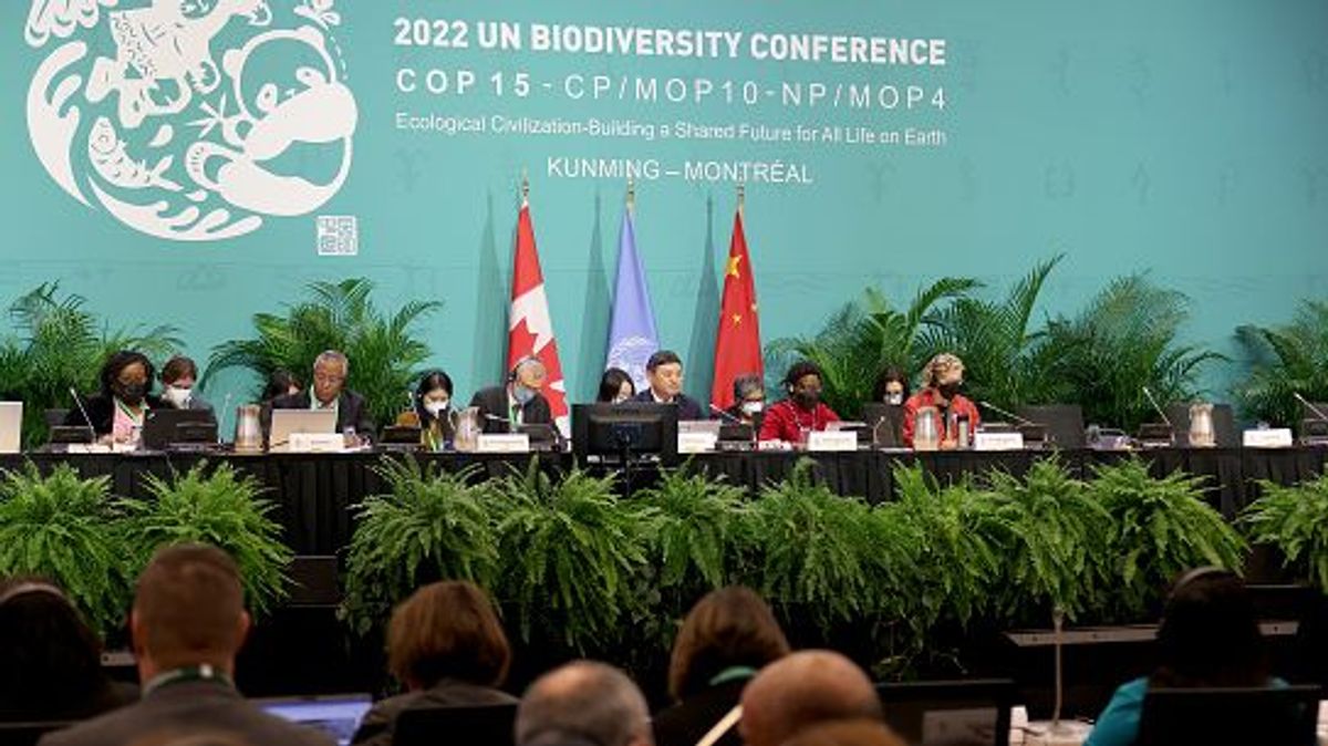 Representatives meeting at COP15 in Montreal, Canada