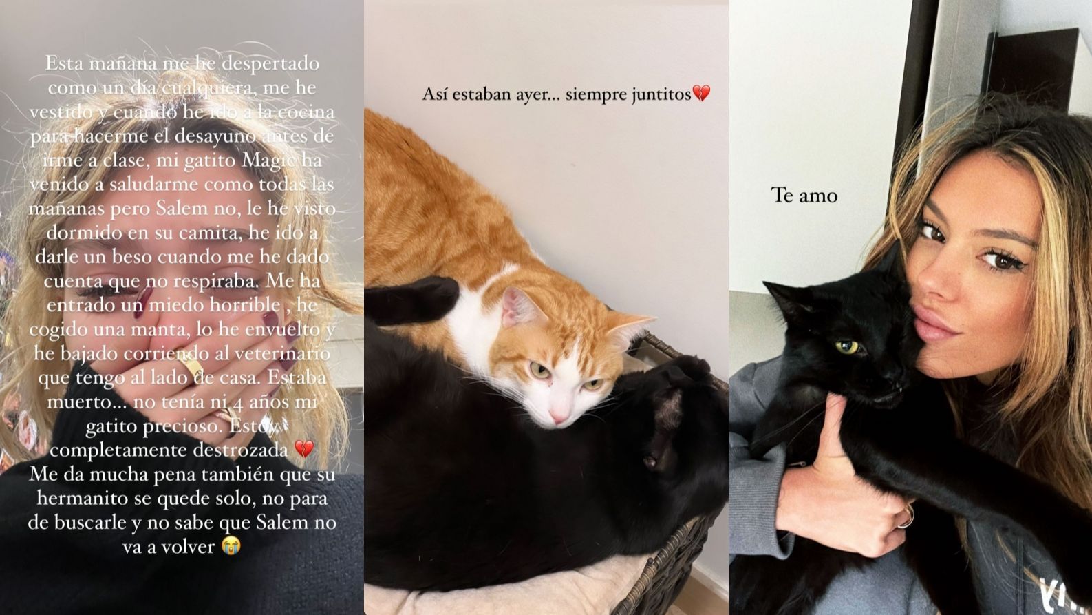 alejandra rubio salem