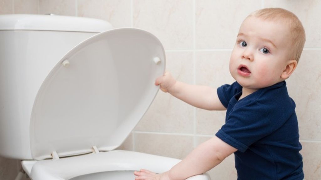 Cuando aprenden a controlar sus esfínteres, los más pequeños lo harán a través de un adaptador o un orinal.