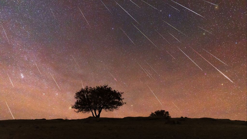 Cuándo ver la lluvia de estrellas Úrsidas esta semana