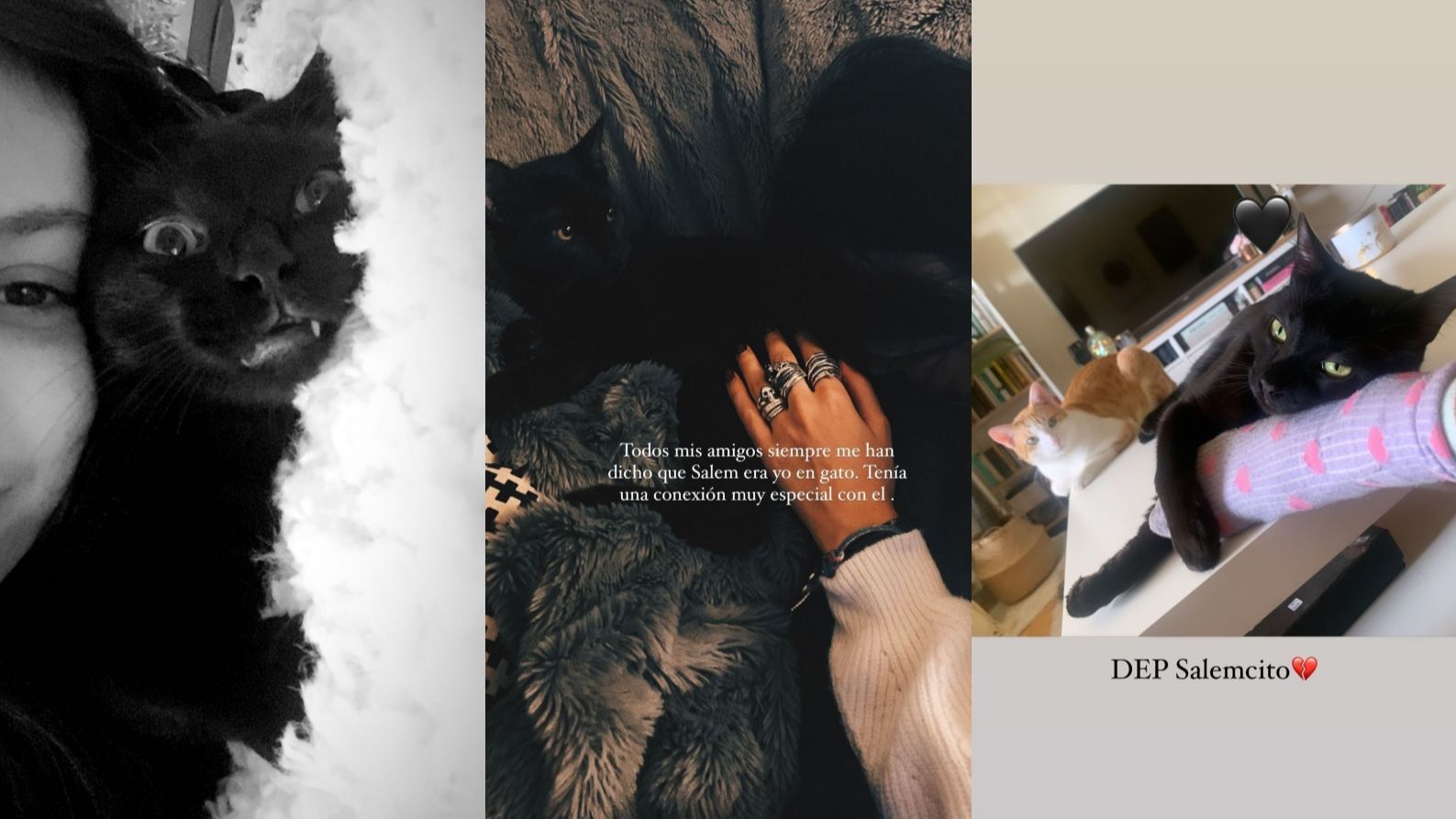 La hija de Terelu estaba muy unida a su mascota