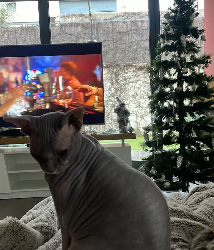 Suso Álvarez y su novia enseñan el enorme salón de su nueva casa, decorada por Navidad