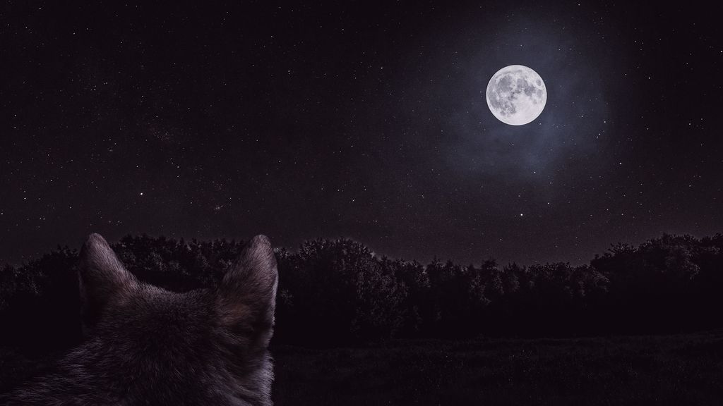 Cuándo ver la Luna del Lobo