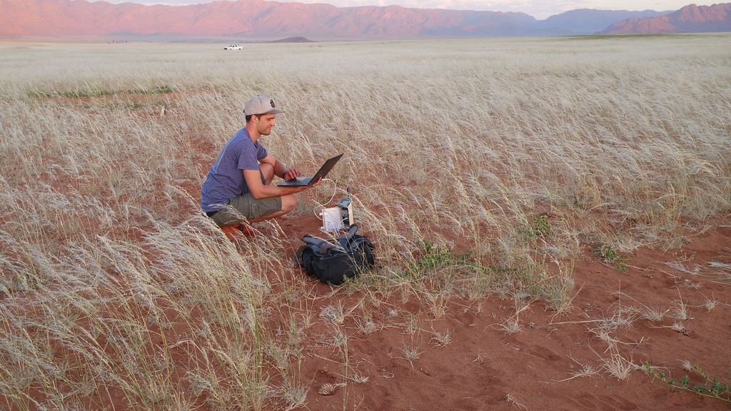 Círculos de hadas del desierto