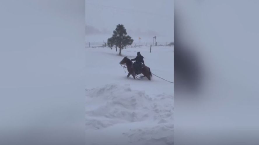 Estados Unidos, amenazado por una tormenta polar sin precedentes