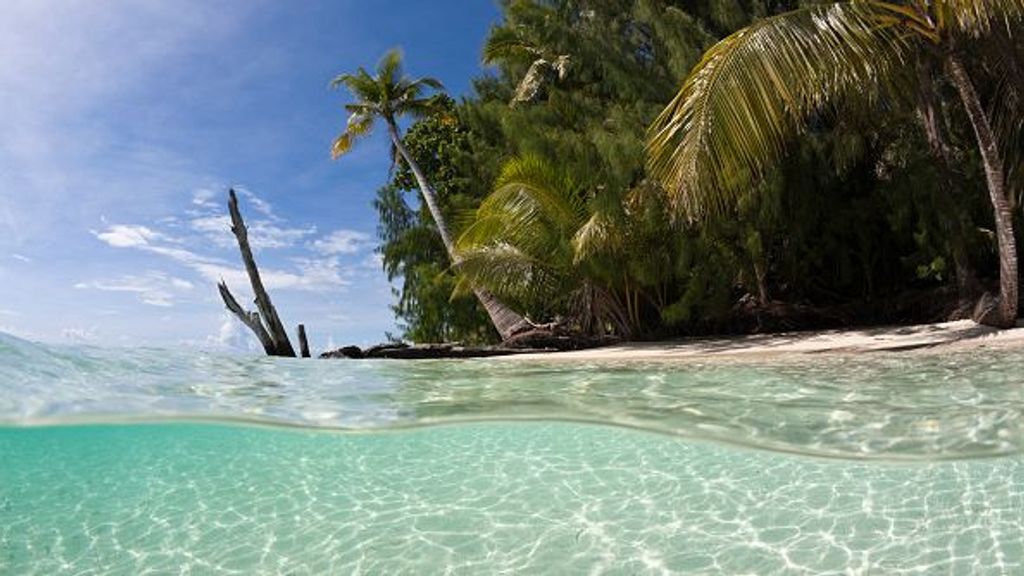 Isla de Palau, Indonesia