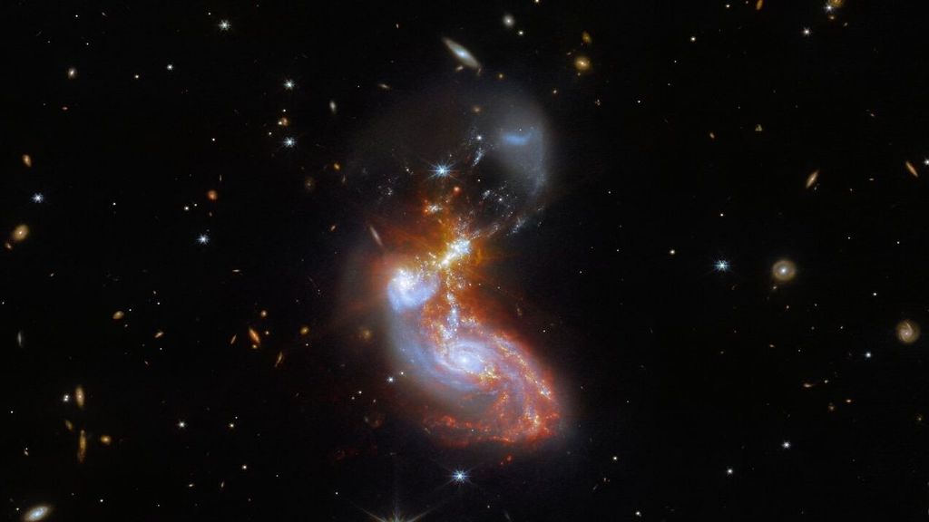 A merging galaxy pair cavort in this image captured by the NASA/ESA/CSA James Webb Space Telescope. This pair of galaxies, known to astronomers as II ZW 96, is roughly 500 million light-years from Earth and lies in the constellation Delphinus, close to the celestial equator. As well as the wild swirl of the merging galaxies, a menagerie of background galaxies are dotted throughout the image.The two galaxies are in the process of merging and as a result have a chaotic, disturbed shape. The bright cores of the two galaxies are connected by bright tendrils of star-forming regions, and the spiral arms of the lower galaxy have been twisted out of shape by the gravitational perturbation of the galaxy merger. It is these star-forming regions that made II ZW 96 such a tempting target for Webb; the galaxy pair is particularly bright at infrared wavelengths thanks to the presence of the star formation. This observation is from a collection of Webb measurements delving into the details of galactic evolution, in particular in nearby Luminous Infrared Galaxies such as II ZW 96. These galaxies, as the name suggests, are particularly bright at infrared wavelengths, with luminosities more than 100 billion times that of the Sun. An international team of astronomers proposed a study of complex galactic ecosystems — including the merging galaxies in II ZW 96 — to put Webb through its paces soon after the telescope was commissioned. Their chosen targets have already been observed with ground-based telescopes and the NASA/ESA Hubble Space Telescope, which will provide astronomers with insights into Webb’s ability to unravel the details of complex galactic environments. Webb captured this merging galaxy pair with a pair of its cutting-edge instruments; NIRCam — the Near-InfraRed Camera — and MIRI, the Mid-InfraRed Instrument. If you are interested in exploring the differences between Hubble and Webb’s observations of II ZW 96, you can do so here.MIRI was contributed by ESA and NASA, with the instrument designed and built by a consortium of nationally funded European Institutes (The MIRI European Consortium) in partnership with JPL and the University of Arizona. The University of Arizona also provided the NIRCam instrument. [Image description: A galaxy merger lies in the centre of this image. The cores of the galaxies, coloured blue, are below-centre. They are surrounded by red star-forming regions which stretch up through and above the centre. Faint yellow diffraction spikes appear in the middle. The lower galaxy is a mostly regular spiral shape, while the upper galaxy has been distorted heavily. The background is black, and covered with many tiny galaxies throughout the scene.] Links  Slider Tool Zoom Into II ZW 96 Pan of II ZW 96 Hubble and Webb Observe II ZW 96 New science paper on II ZW 96 (accepted for publication in ApJ Letters)